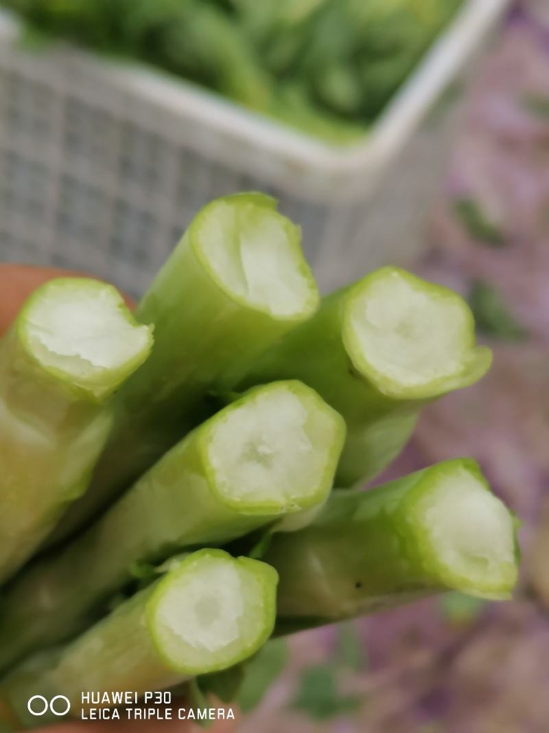 白菜苔