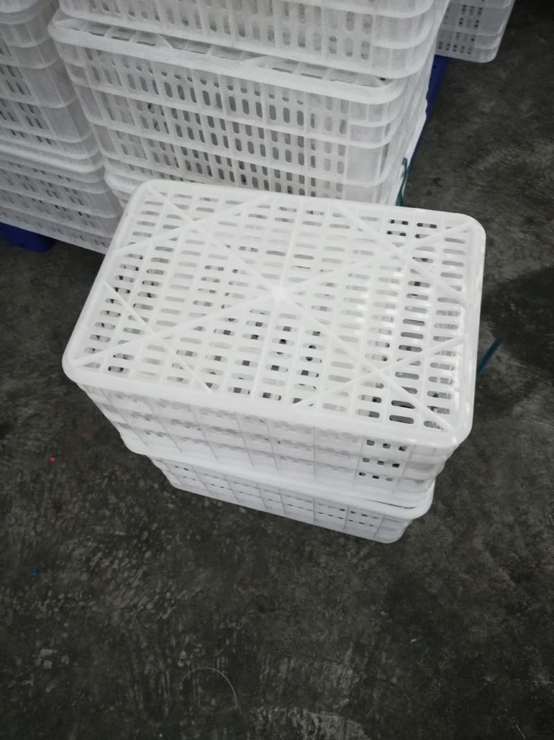 塑料筐水果筐苹果筐蔬菜筐熟胶厂家现货一件批发