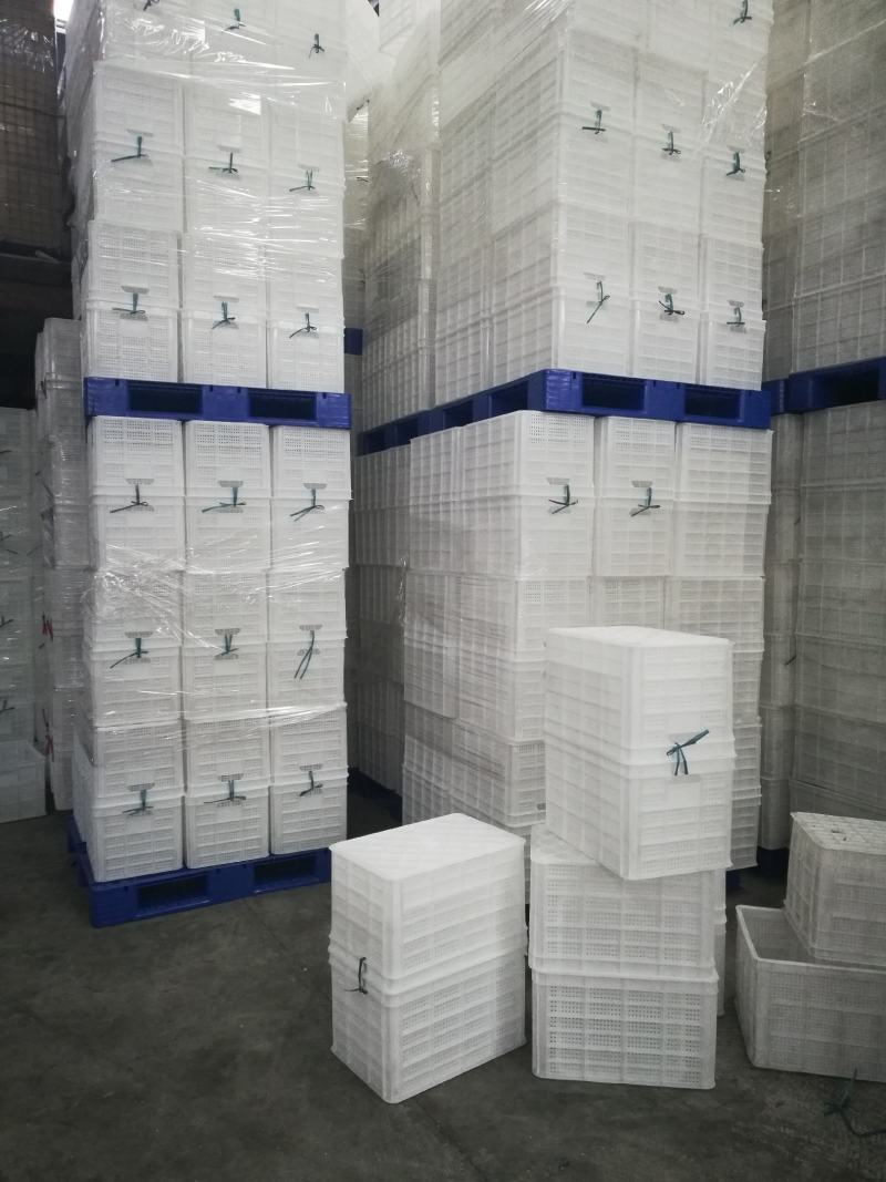 塑料筐水果筐苹果筐蔬菜筐熟胶厂家现货一件批发