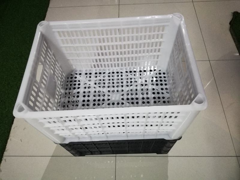 塑料筐水果筐苹果筐蔬菜筐熟胶厂家现货一件批发
