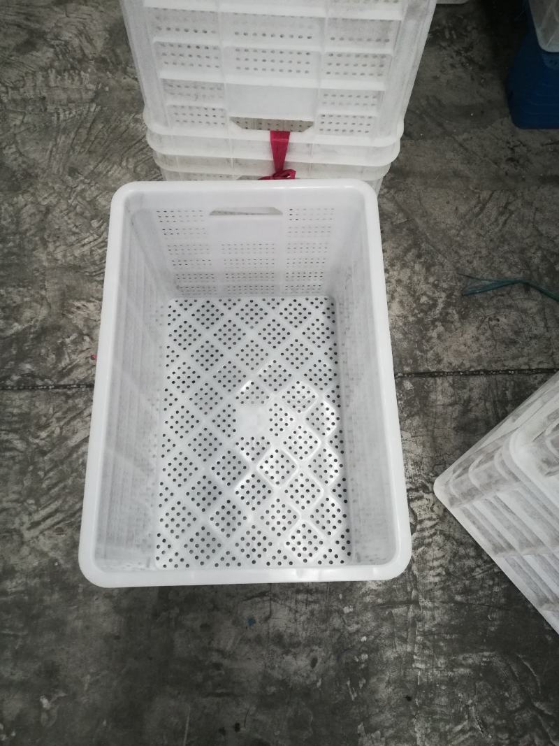 塑料筐水果筐苹果筐蔬菜筐熟胶厂家现货一件批发