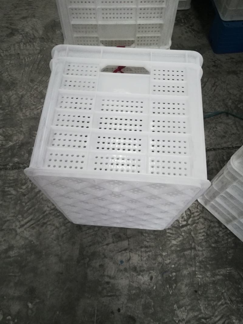 塑料筐水果筐苹果筐蔬菜筐熟胶厂家现货一件批发