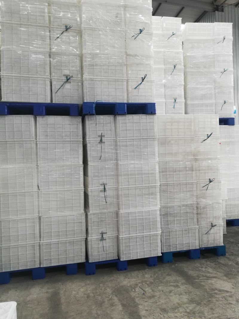 塑料筐水果筐苹果筐蔬菜筐熟胶厂家现货一件批发