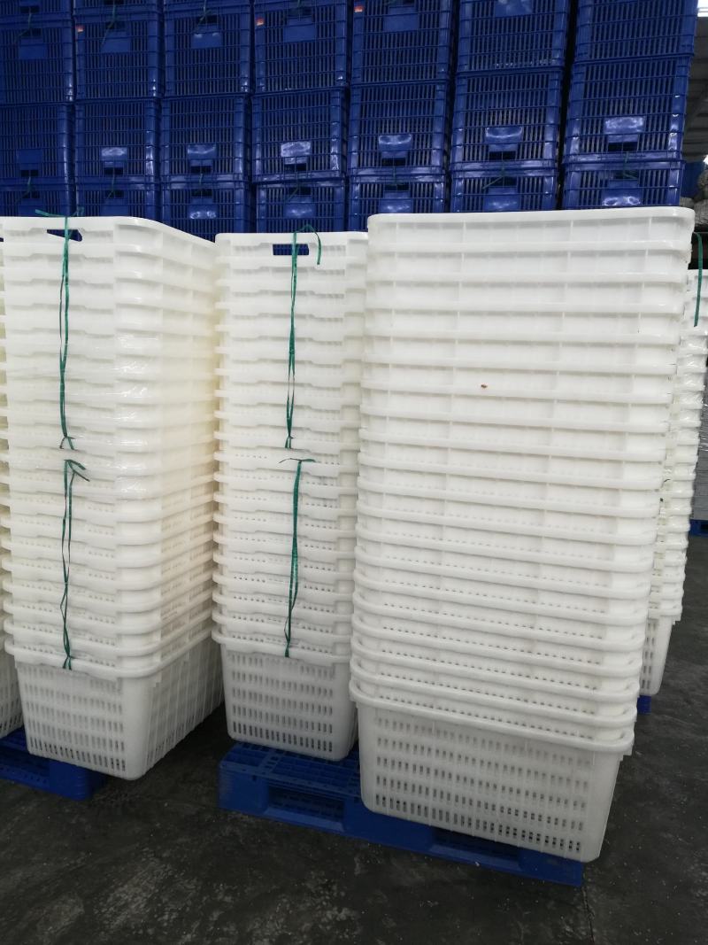 塑料筐水果筐苹果筐蔬菜筐熟胶厂家现货一件批发