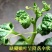 纯进口高品质叶面喷施型高硼肥（可视频看货欢迎咨询量大从优