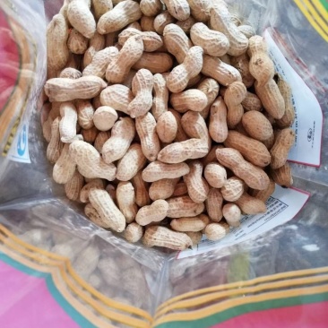 山东破皮卤味花生次果破了壳的花生赶集超市微商搞活动专卖