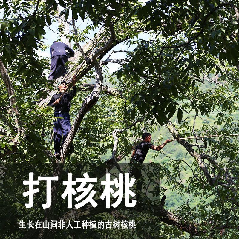 云南老树核桃新货薄皮干核桃孕妇坚果零食送夹