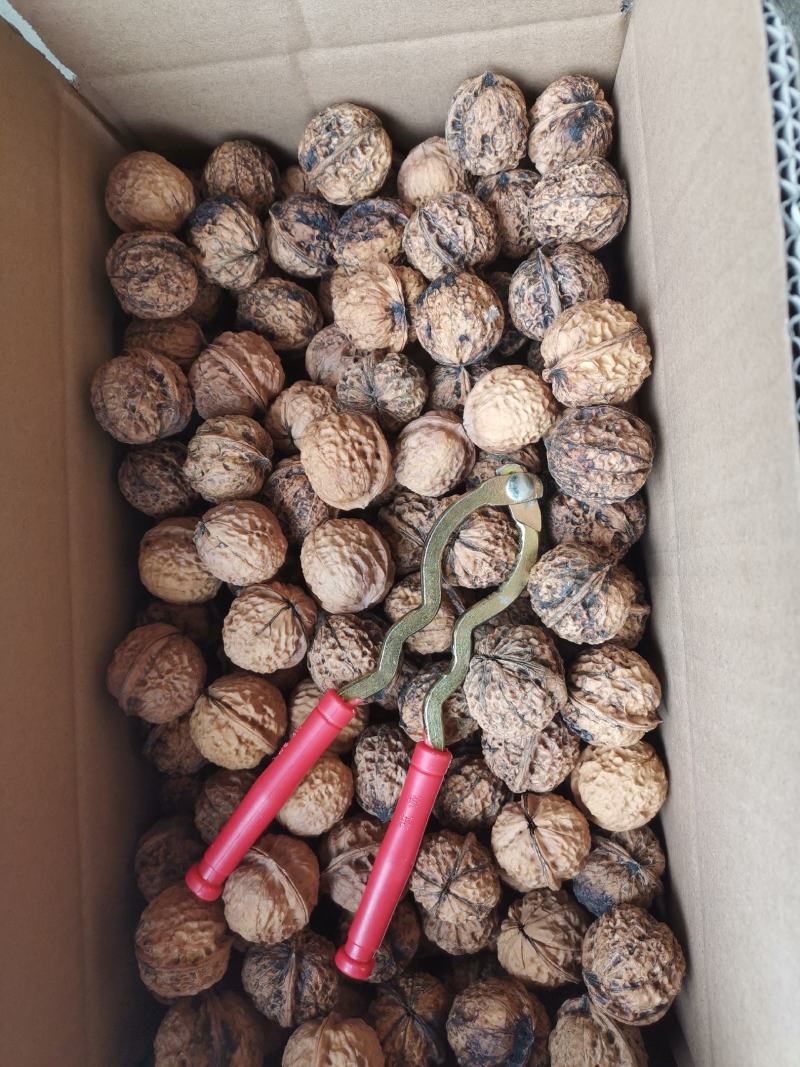 云南老树核桃新货薄皮干核桃孕妇坚果零食送夹