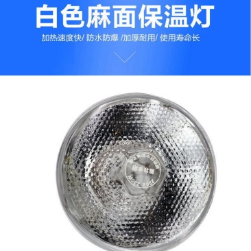 保温灯猪仔加温灯鸡鸭鹅苗育雏灯欢迎选购