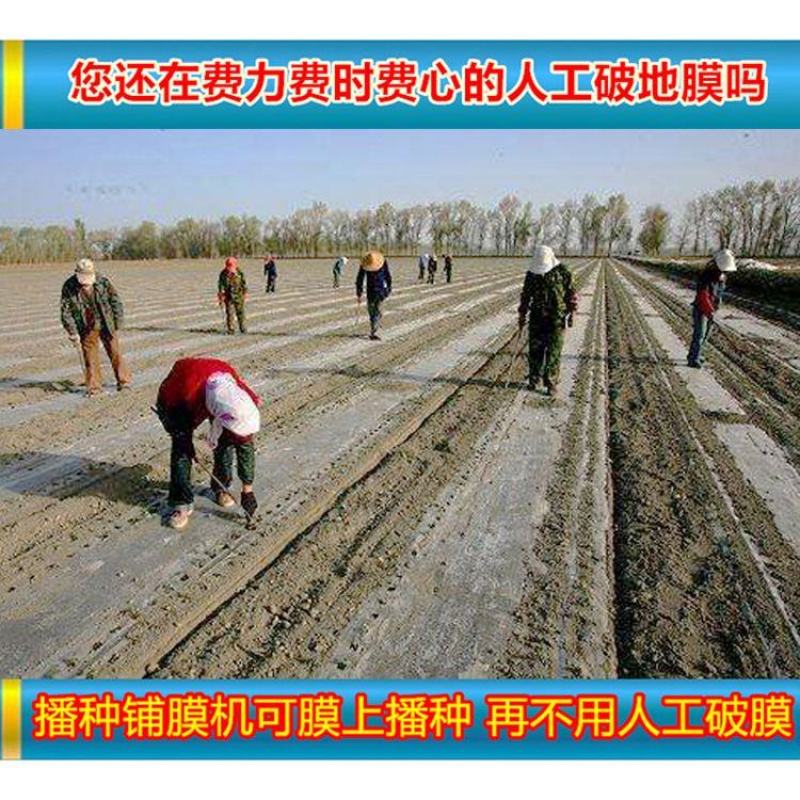 玉米播种机厂家花生播种机膜上播种机播种滴管施肥一体机