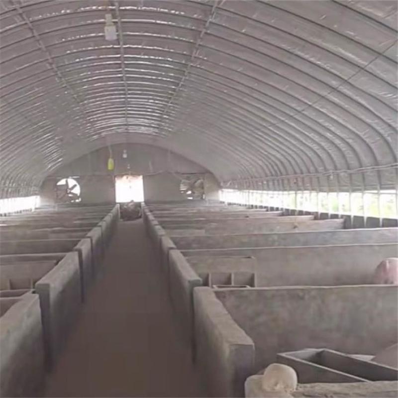 养殖大棚骨架钢管全套养鸡场猪棚牛棚羊圈搭建椭圆管大棚