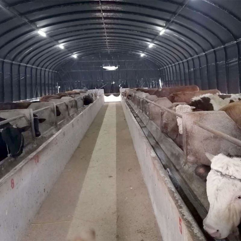 养殖大棚骨架钢管全套养鸡场猪棚牛棚羊圈搭建椭圆管大棚
