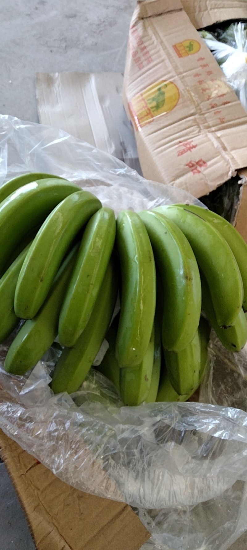 香蕉
