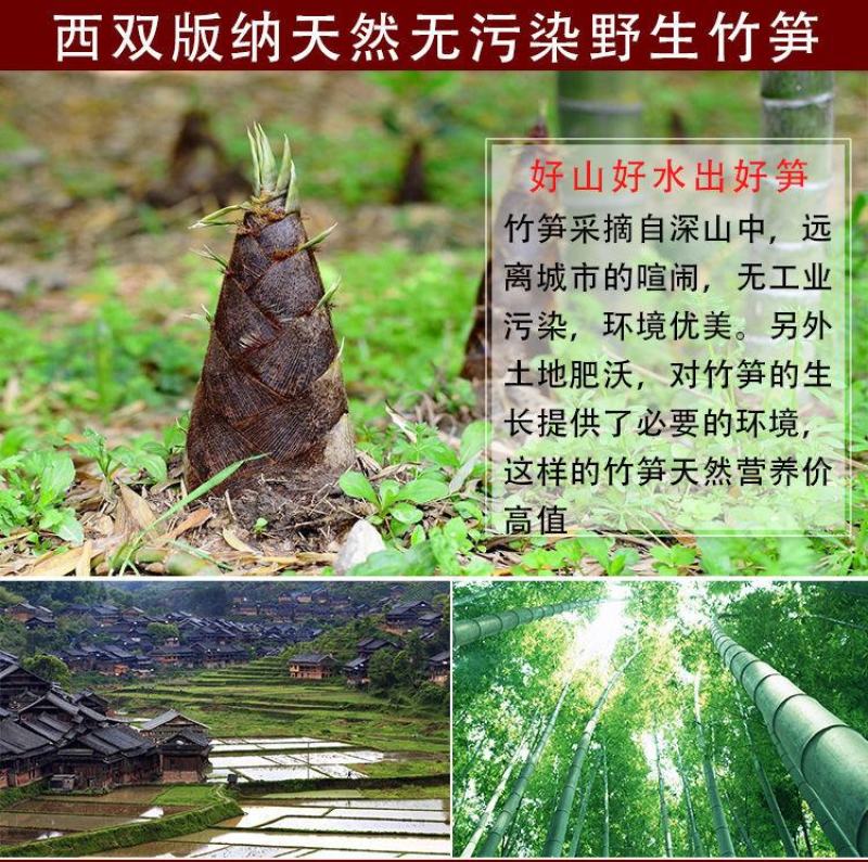 云南农家自制野生竹笋干货笋尖丝竹笋丝500g金丝