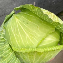 净菜上车，大量现货滴滴排位，赶紧联系我