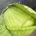 净菜上车，大量现货滴滴排位，赶紧联系我