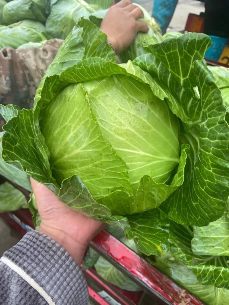 净菜上车，大量现货滴滴排位，赶紧联系我
