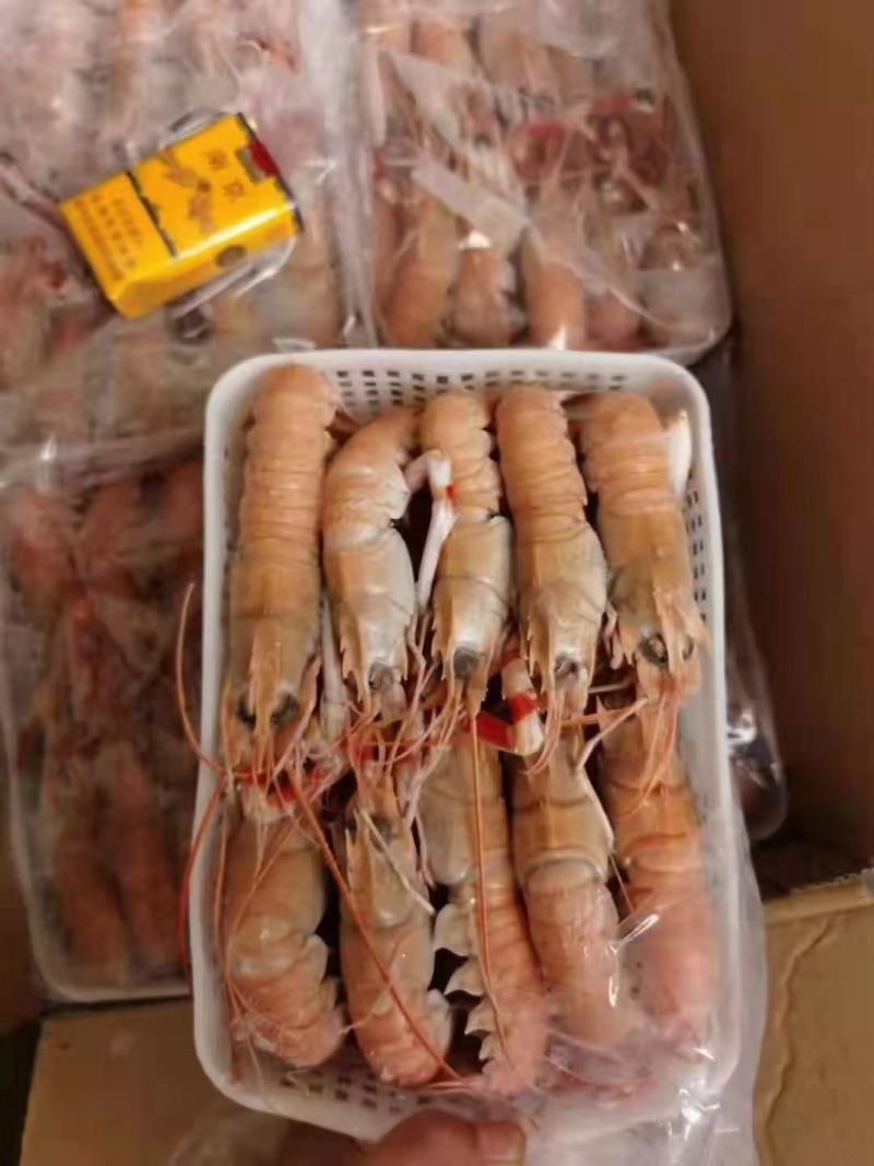 精品海鳌虾