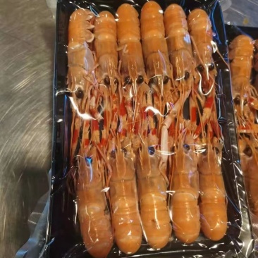 精品海鳌虾