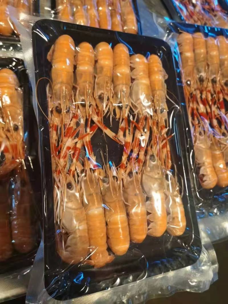 精品海鳌虾