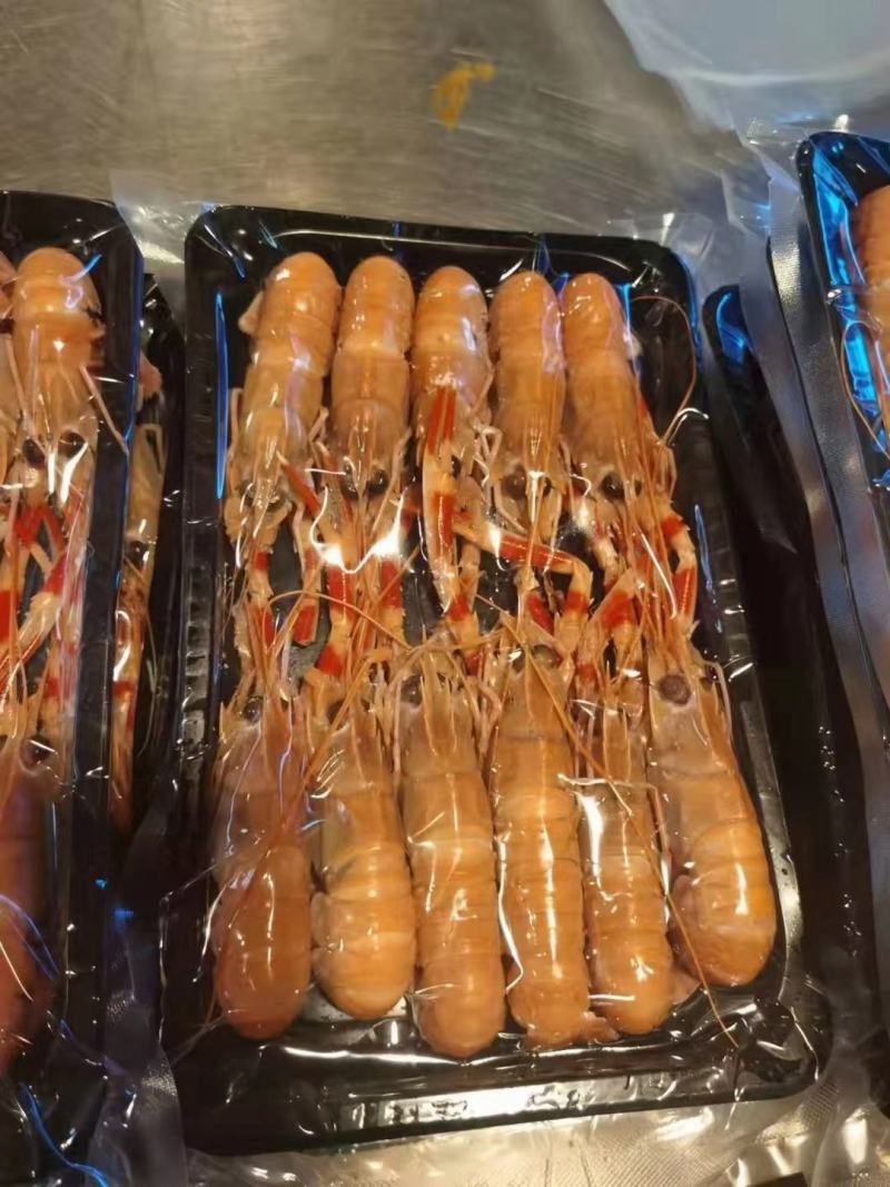 精品海鳌虾