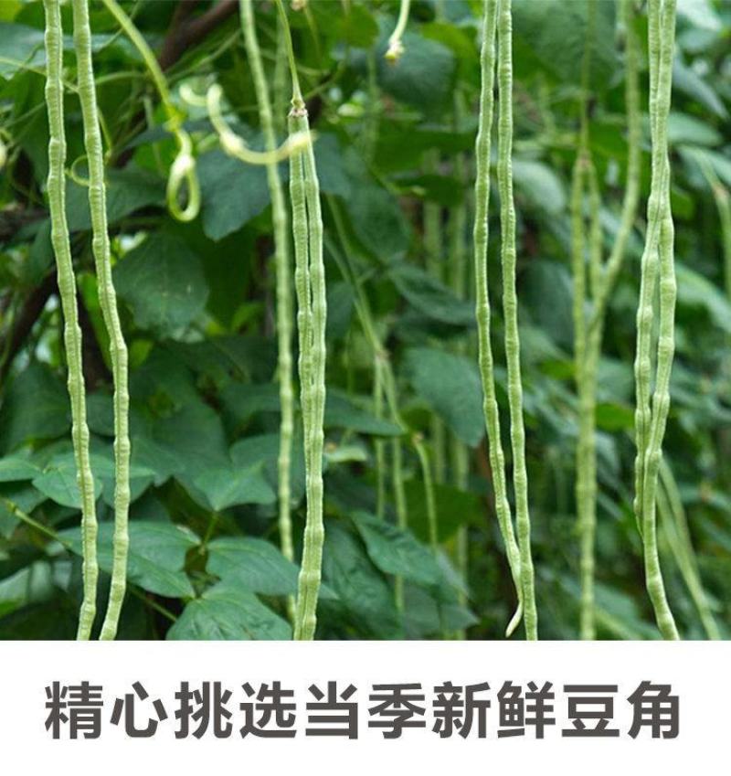 干豆角500克农家自制干货长豆角豇豆干货天然日晒脱水蔬菜