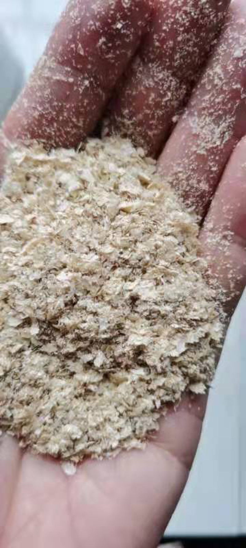 麸皮低毒的符合饲料厂指标的山东河北都有货需要联系我