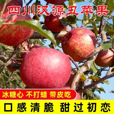 【红富士】丑苹果，苹果，个大味美，甜而多汁，果面靓丽。脆