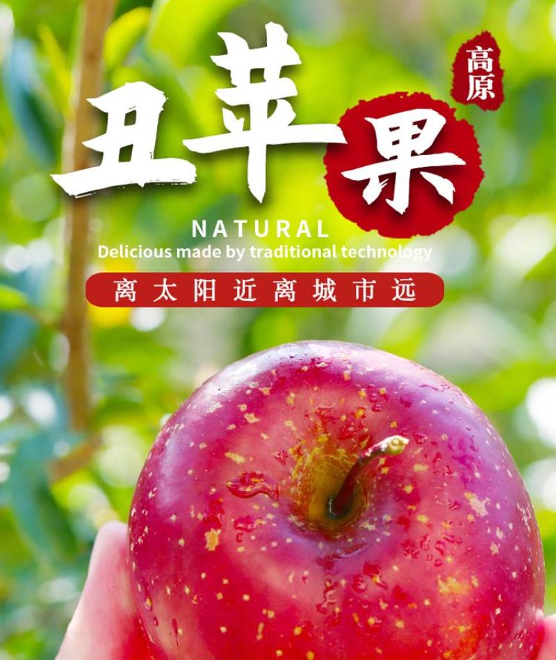 【红富士】丑苹果，苹果，个大味美，甜而多汁，果面靓丽。脆