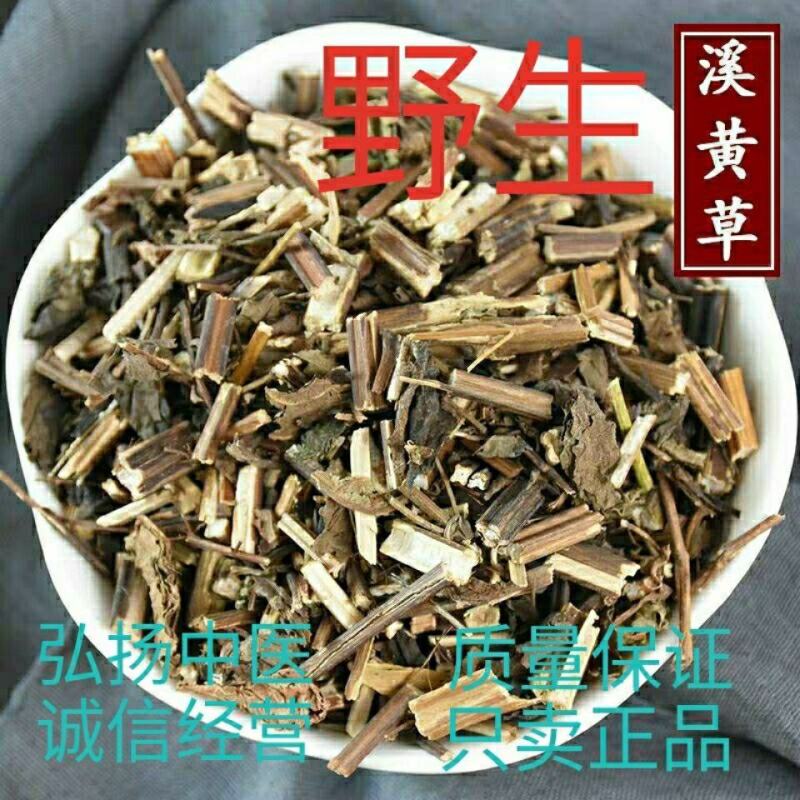 溪黄草熊胆草山熊胆风血草黄汁草保证正品不满意可退换货