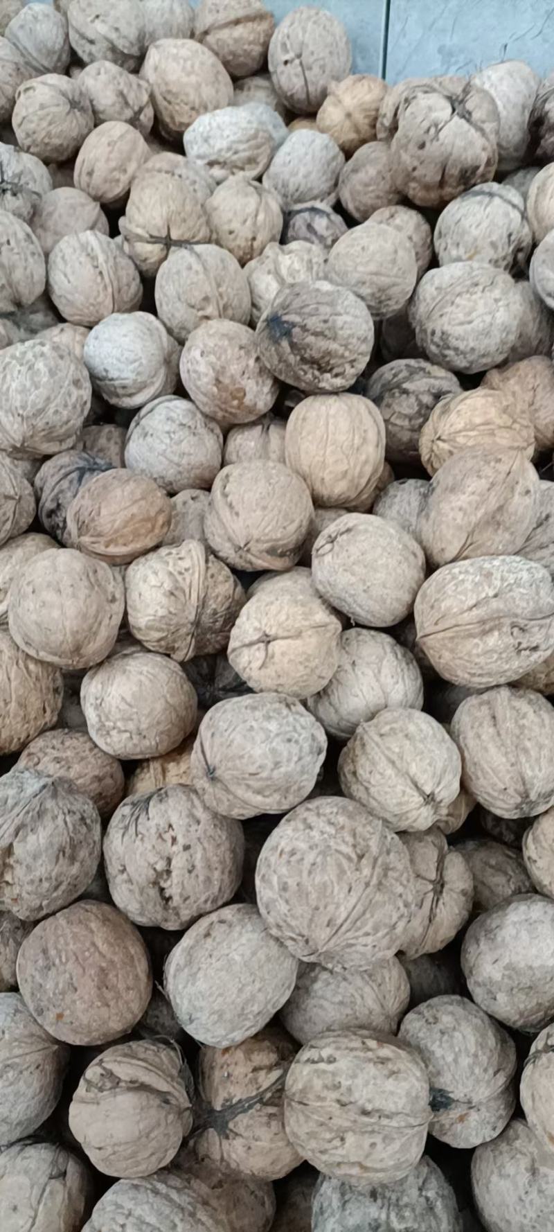吕梁老品种，笨核桃