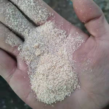 金沙河益海次粉3.0到5.0灰分都有大量有货