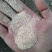 金沙河益海次粉3.0到5.0灰分都有大量有货