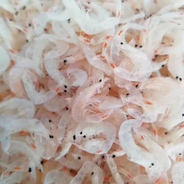 虾皮，淡干虾皮，高蛋白，营养丰富，值得购买，产地霞浦