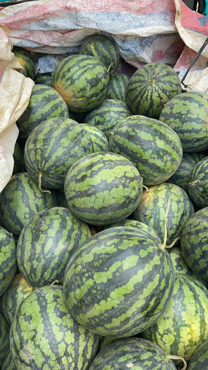 甜王，露天西瓜，甜度好，皮毛亮，货源充足，