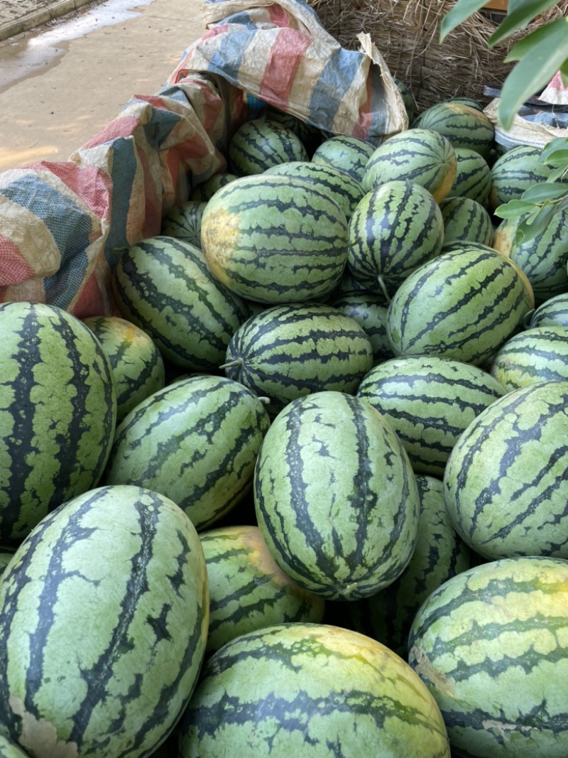 甜王，露天西瓜，甜度好，皮毛亮，货源充足，