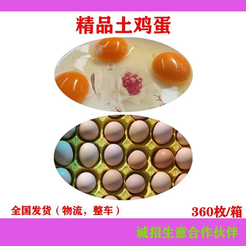 土鸡蛋草鸡蛋虫草蛋粉蛋炒出金黄，草鸡蛋，虫草蛋