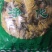 黄蜀葵花黄葵花不满意可退换货只做正品