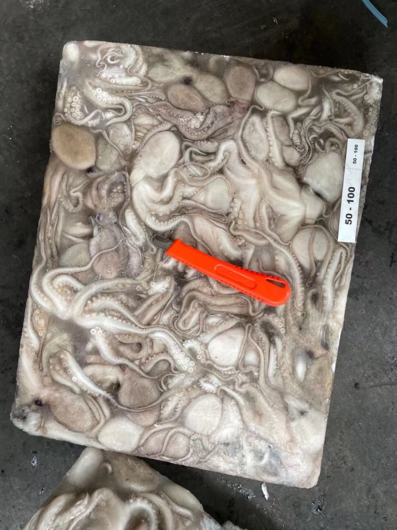 印尼章鱼50/100，化鲜必备单品重量足称