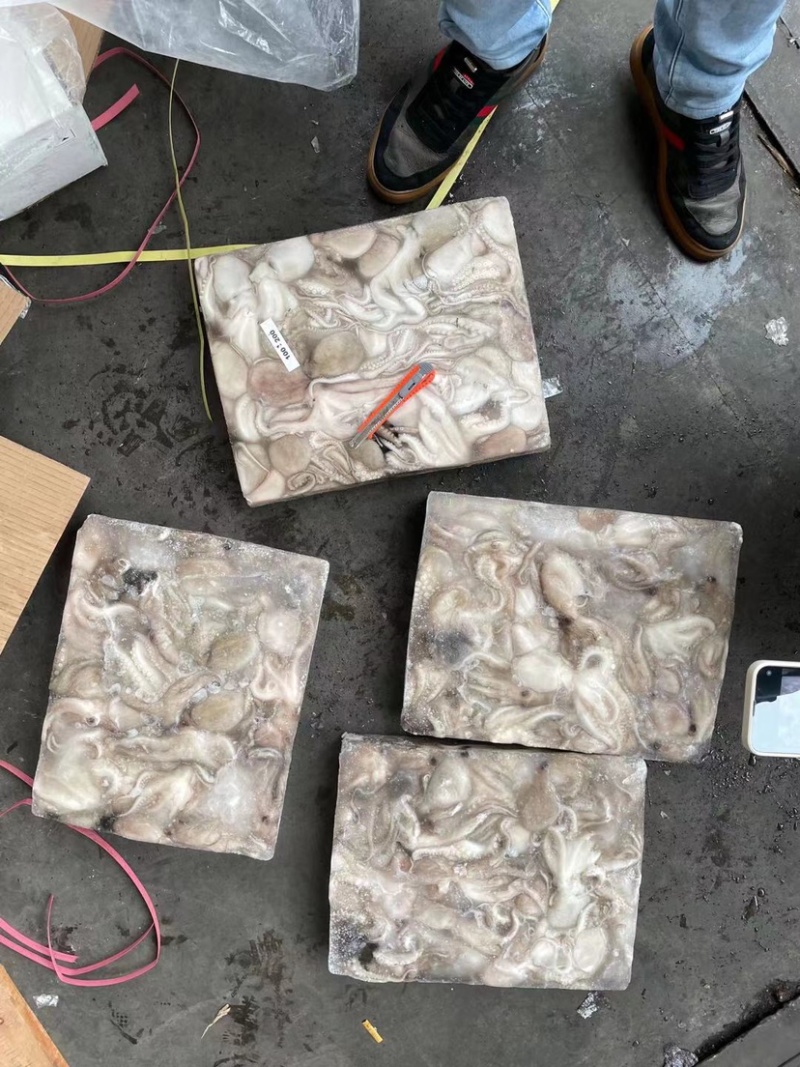 印尼章鱼50/100，化鲜必备单品重量足称