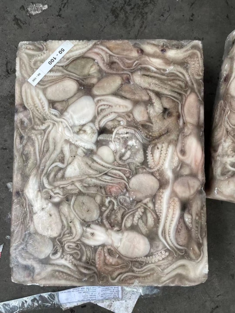印尼章鱼50/100，化鲜必备单品重量足称