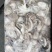 印尼章鱼50/100，化鲜必备单品重量足称
