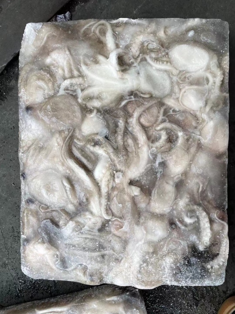 印尼章鱼50/100，化鲜必备单品重量足称
