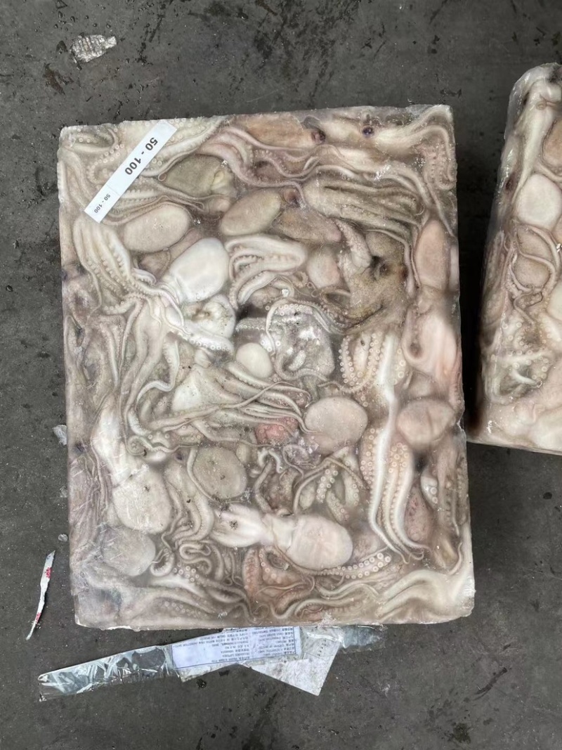 印尼章鱼50/100，化鲜必备单品重量足称