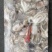 印尼章鱼50/100，化鲜必备单品重量足称