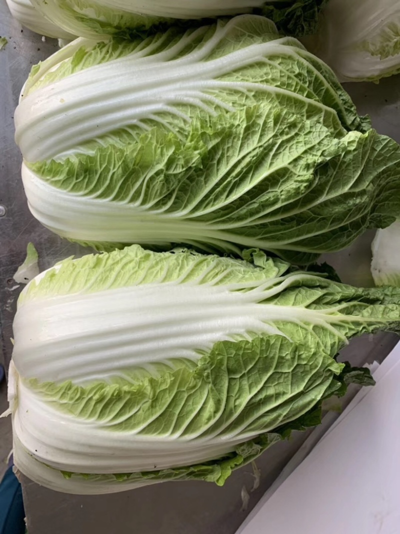 白菜，大白菜，产地直发，支持工厂加工