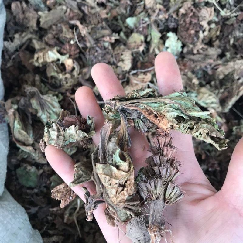 独一味叶干货正品无硫不满意可退换货