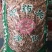 泽漆猫眼草泽七不满意可退换货只做正品