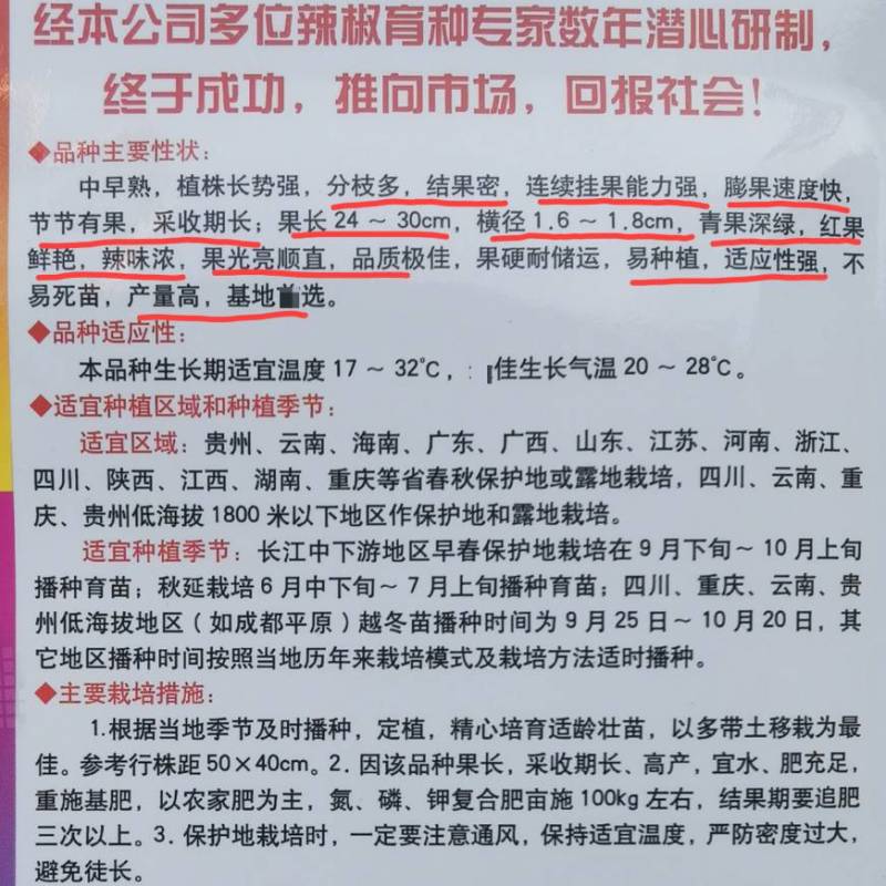 【青红两用】苏润93号线椒种子加长型深绿皮黑线辣椒种子