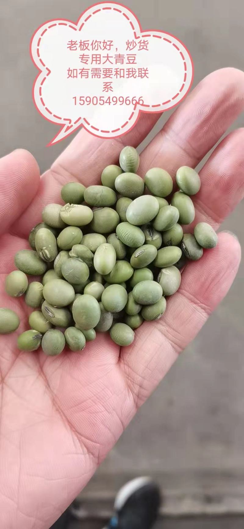 双青豆，炒货，泡菜青仁青皮大粒青豆五谷杂粮袋装50kg